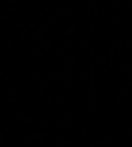 Meet your Posher, Smj